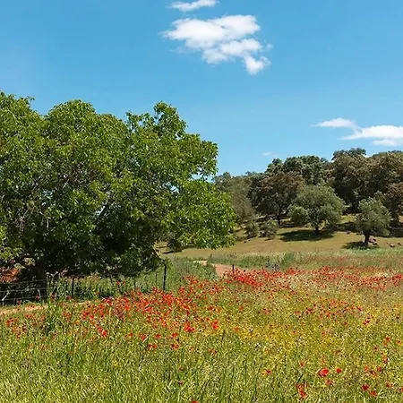 Casa Rural Nacimiento Del Hueznar - Tomillo 23